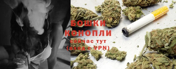 амф Бородино
