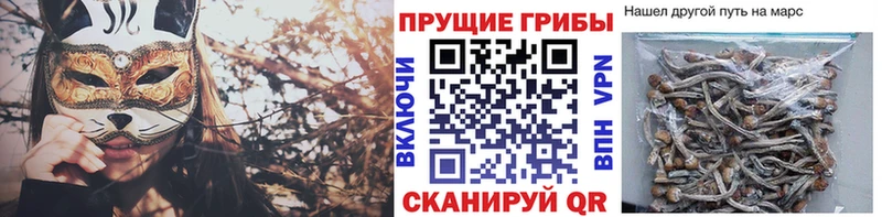 Псилоцибиновые грибы мухоморы  Тотьма 